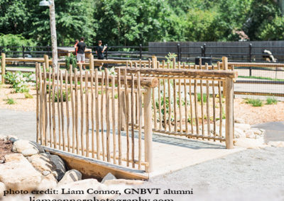 Charlie's Nature Play Bridge