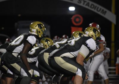 voc bears in ready stance