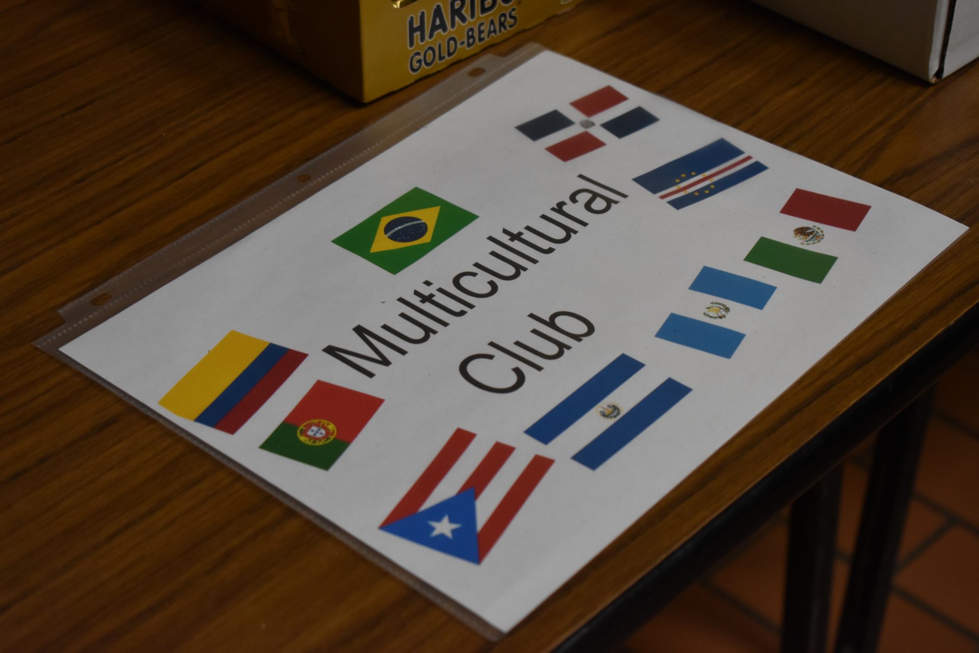 Multicultural Club