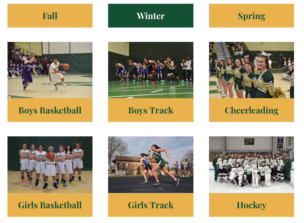 Winter Sports Home Page Link
