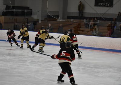 players skating