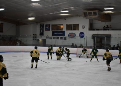 players near puck