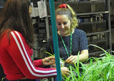 Environmental students working together with plants