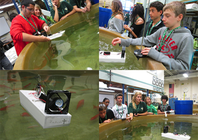 Environmental students working with fish-tank
