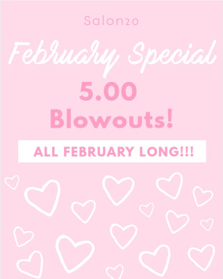 $5 Blow Out all February 2020 at Salon20