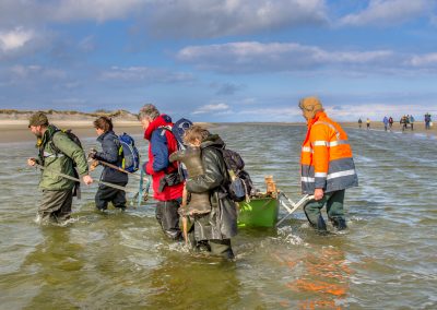 soil sampling in ocean Experimenting