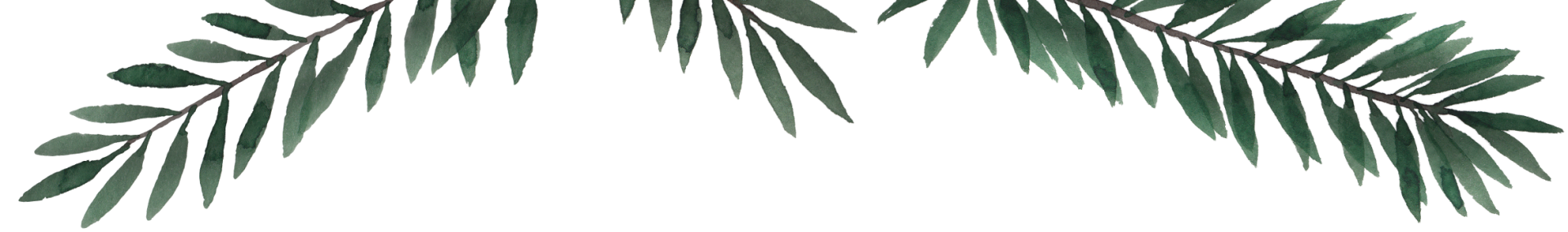 leaves-top Leaves on the Top of the Page