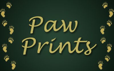 “Paw Prints” Volume 2 Issue 6