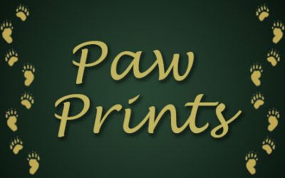 “Paw Prints” Volume 2 Issue 15