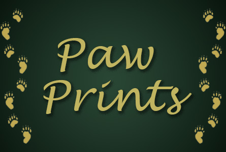 “Paw Prints” Volume 2 Issue 15