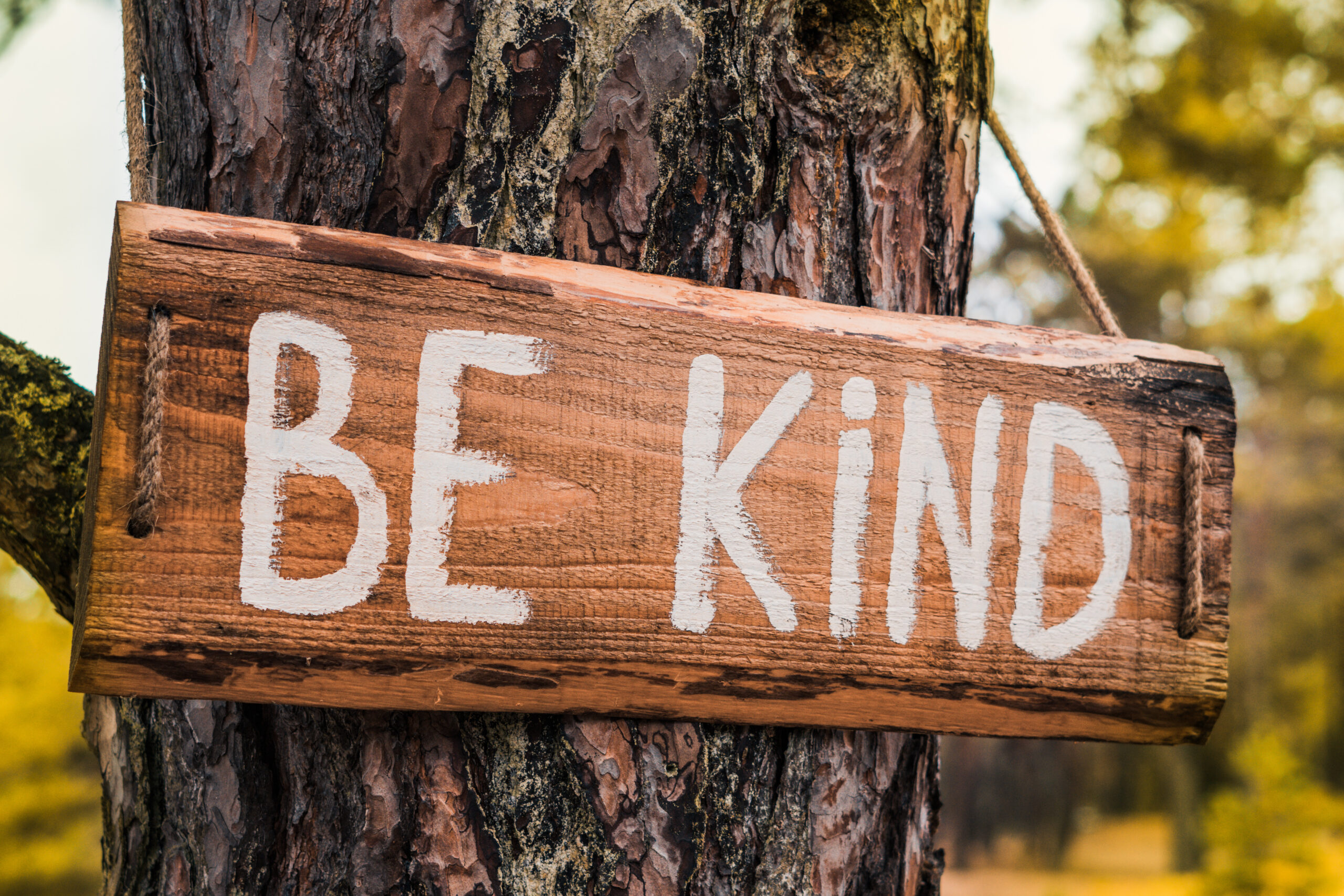 Wooden motivating sign on an old pine tree in the autumn park says "Be kind." Can be used as an illustration or marketing concept. Unity with nature