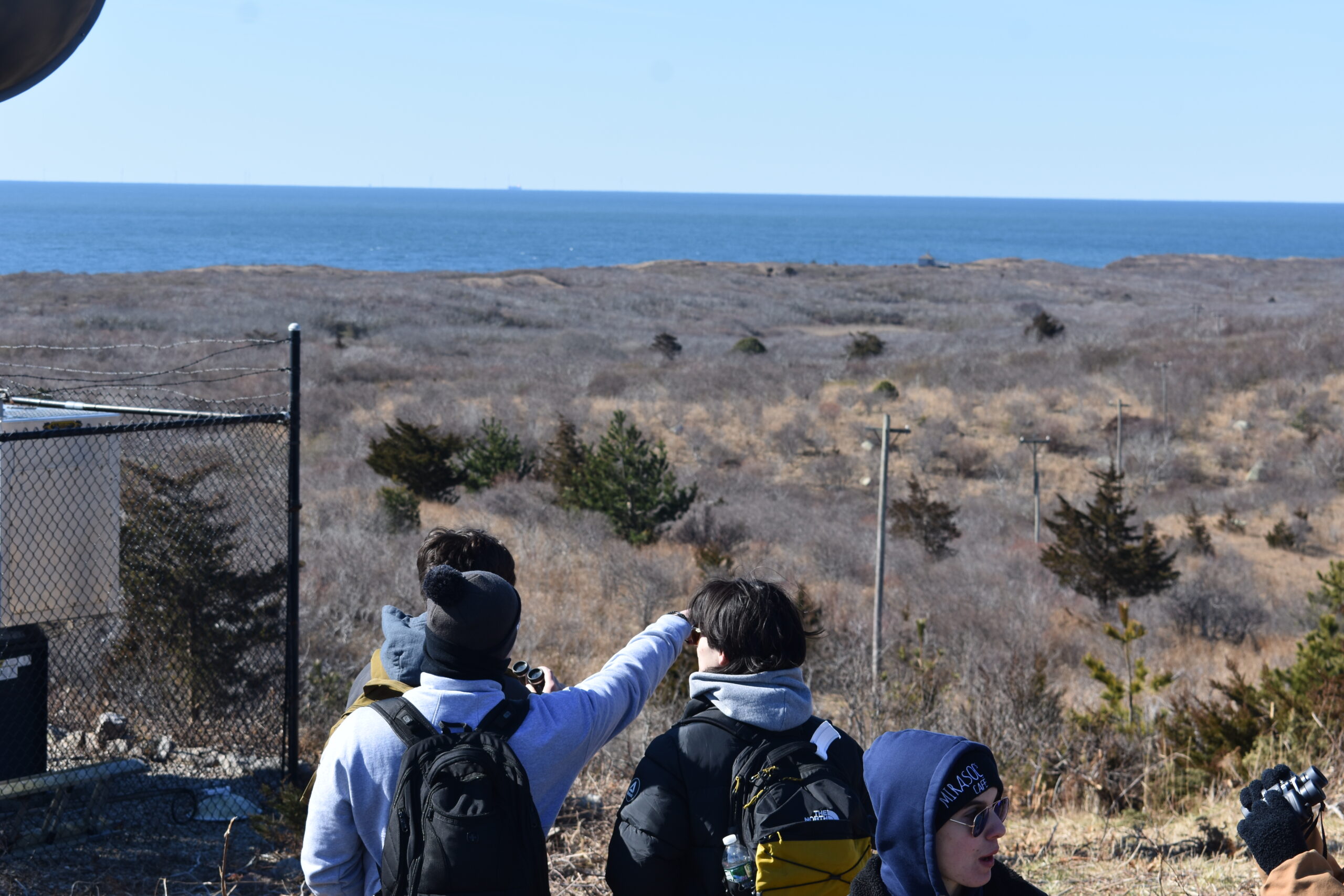 Group of students observing the island