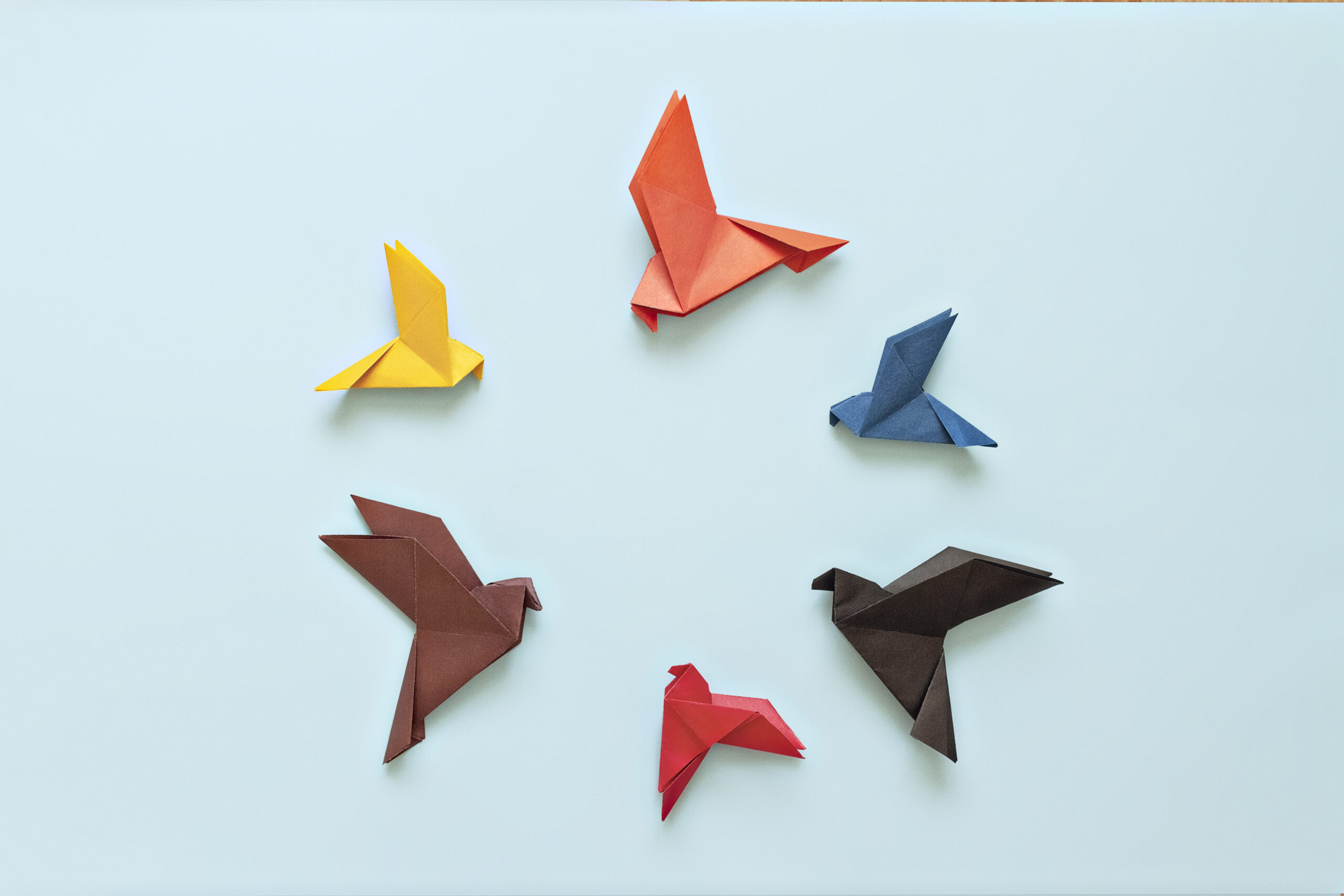 seven paper origami pigeons different colors in a circle fly away from the white bird on light blue background, concept of diversity, different personalities, relationships, team